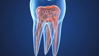 Endodontics