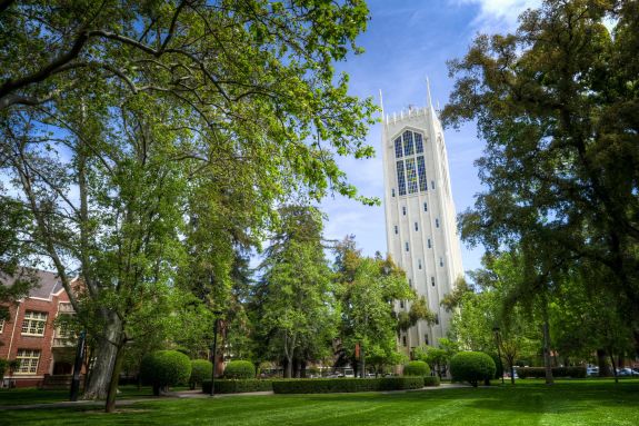 Burns Tower surrounded by trees