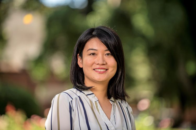 Dr. Xiaoyuan Han is the first researcher at University of the Pacific to receive the SuRE-First award from the National Institutes of Health. Her research, in collaboration with Stanford School of Medicine, will use state-of-the-art single-cell analysis and bioinformatic artificial intelligence tools. 