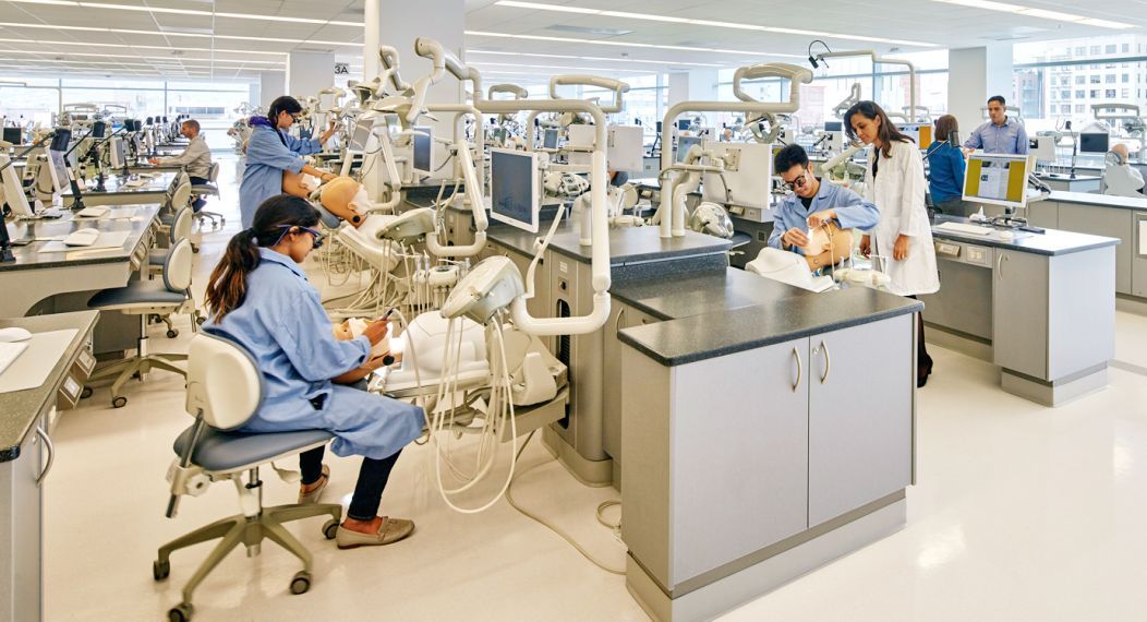 students working in a dental lab
