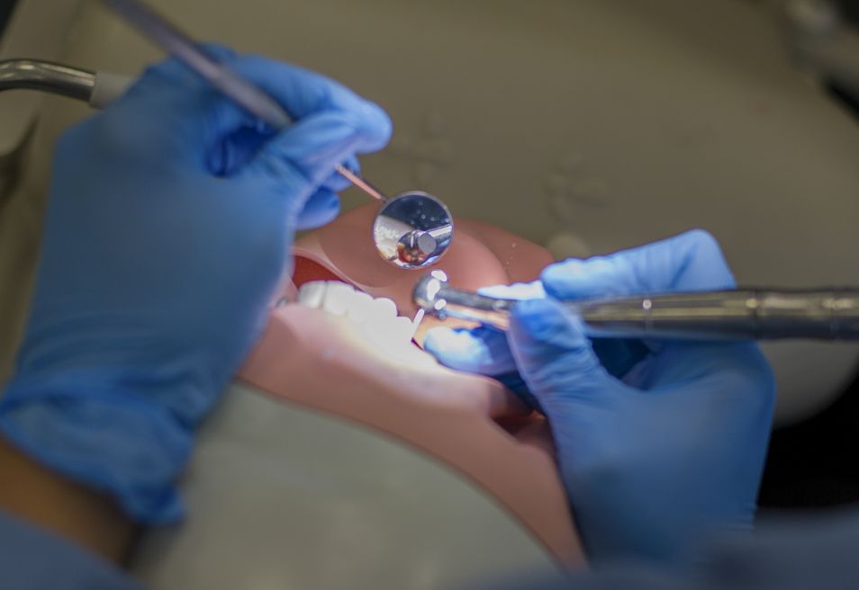 Doctor of Dental Surgery University of the Pacific